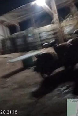 berita-rekomendasi-foto