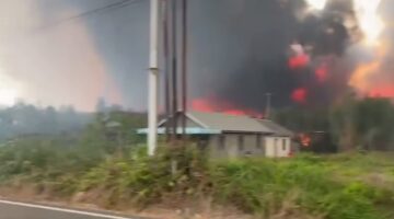 Prof DR Sutan Nasomal : Ini Bencana Nasional. Masyarakat Indonesia Meminta Bantuan PBB dan Negara Manapun Menghentikan Kebakaran Hutan